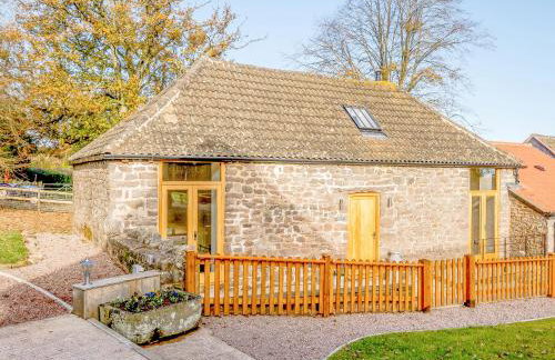 Pipistrelle - Uk30758 - Photo 1