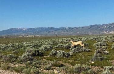 New Listing! River Front! - Foto 36