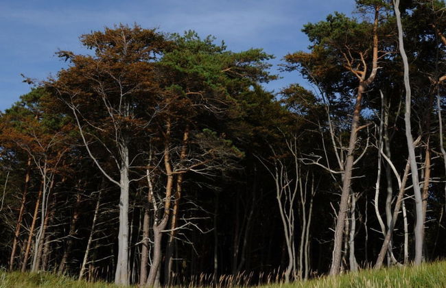 "laura" Comfortable Holiday Residence - Photo 10