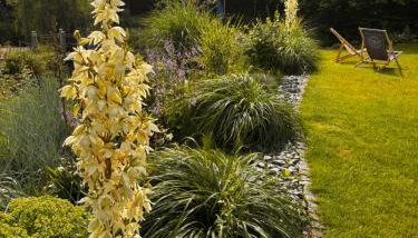 Idylla nad stawem- domek na Kaszubach - Foto 5