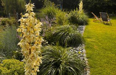 Idylla nad stawem- domek na Kaszubach - Photo 5