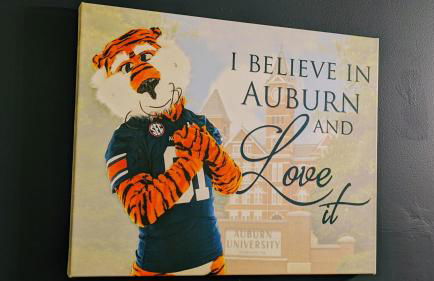 Auburn Alumni House on 20 acres - Foto 19