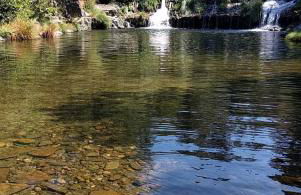 Casa D.Dinis - Foto 33