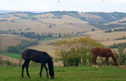 La Collina dei Cavalieri - Foto 47
