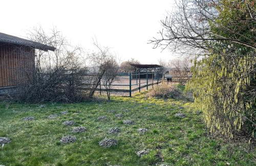 Ferienhaus Pferdehof Birkholz - Foto 8