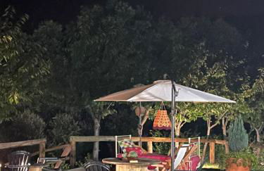 Quinta das Ameixas - Country & Nature - Foto 28