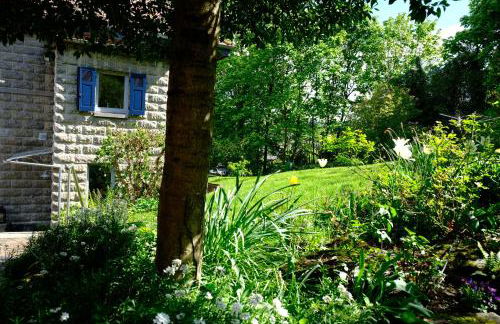 altes forsthaus schotten - Foto 27