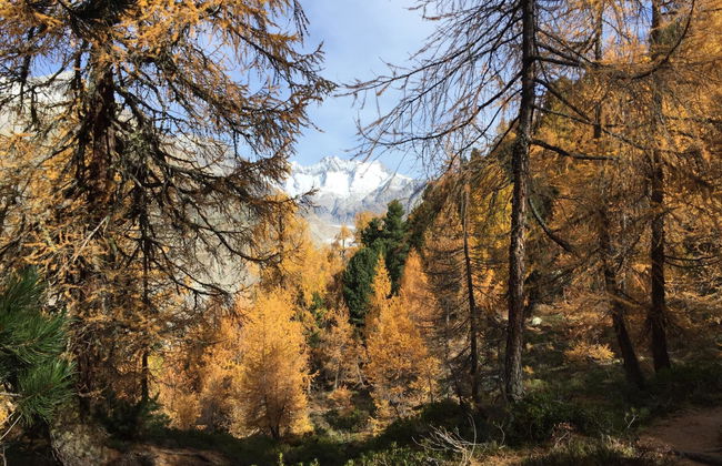 Amici 1. OG West - Foto 15