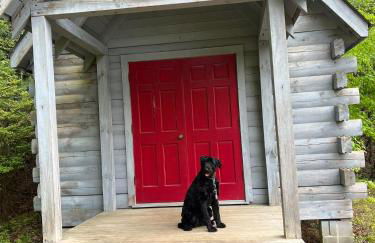 Log Cabin with Mountain View and Privacy - Foto 58