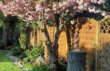 Ferienwohnung Grasmück - Foto 18