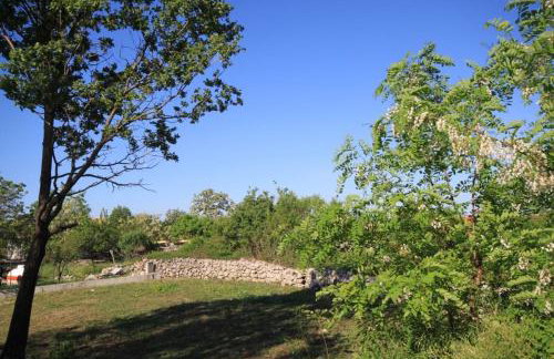 Apartments with a parking space Presika, Labin - 7617 - Foto 29