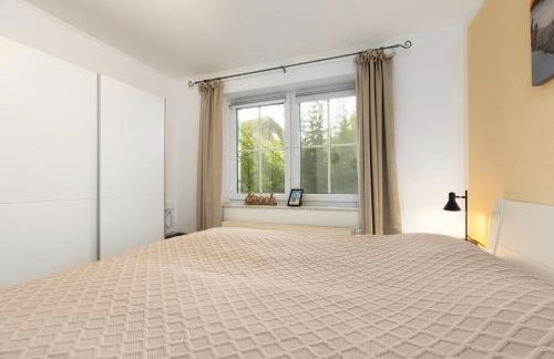 Holunderbusch - Foto 19