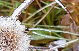 Ferienhaus Mauth - Photo 132