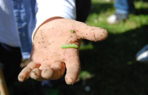Agriturismo Fattoria Walden - Foto 43