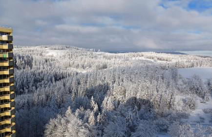 Apartment 350 mit Brockenblick - Foto 1
