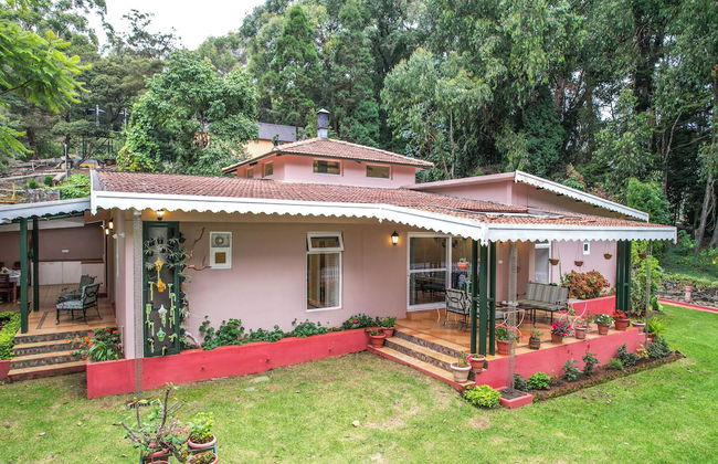 Rayne Forest - Foto 11