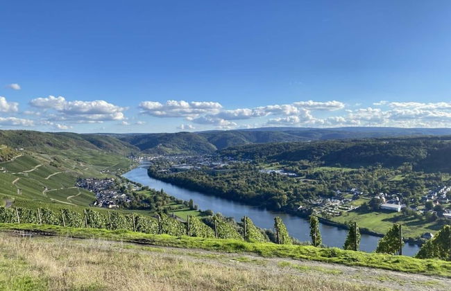 Uitzicht op de Wijngaard - Photo 15