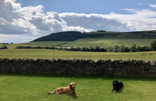 East Cottage, Parbroath Farm Near Cupar in Fife - Foto 16