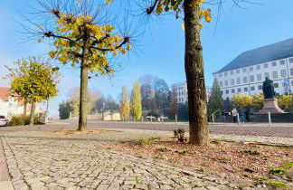 Kuschelige helle Ferienwohnung - Foto 30