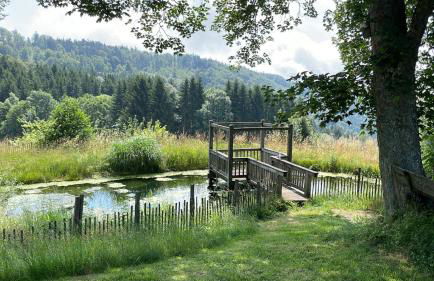 Berghütte am Grandsberg - Foto 7