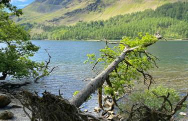 Daffodil Cottage - Foto 33