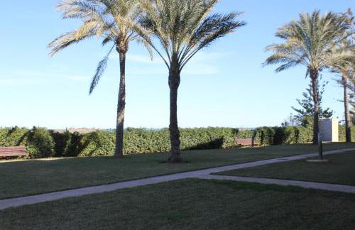 187 Palm Beach - Deniasol - Foto 19