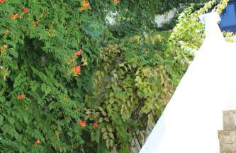 Casa Alcaida - Foto 29