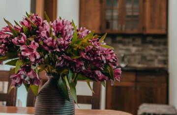 Etno Garden Apartments - Foto 19