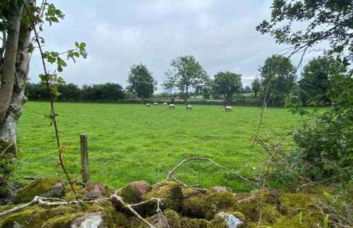 Craigmore Caravan - Foto 25