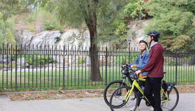 Santa Monica Bike Rental - Photo 4