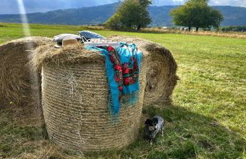 Reset w górach - Foto 6