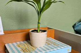 Apartmento em Blumenau, próximo a Vila Germânica - Foto 42