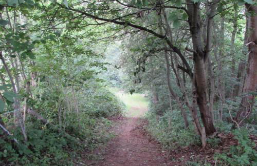 Ferienwohnung "Eifelstueffje" - Foto 70