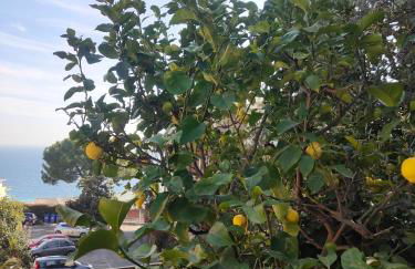 AlisHome, Sanremo - Foto 64