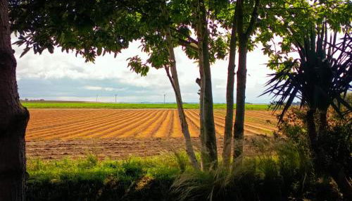 Agréable maison entre champs et mer - Foto 4, Garden view