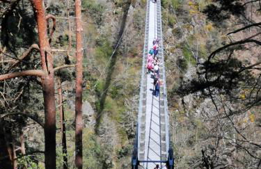 Les Ricochets - Foto 24