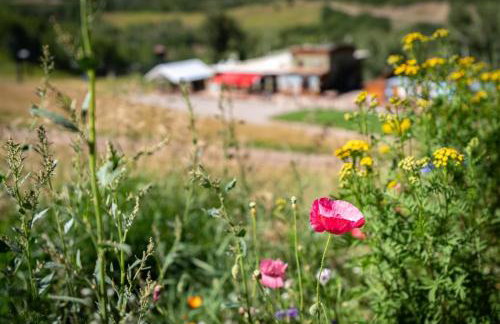 Brettelberg Slopeside Condos F7 - Foto 20