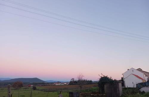 Casa dos pássaros - Foto 15