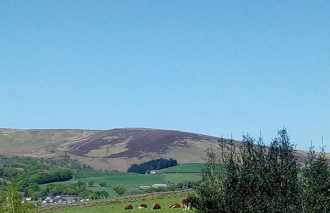 Cobden View - Foto 21