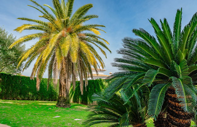 Villa Fili - Foto 27