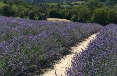 ElleCi Casa Vacanze - Photo 66