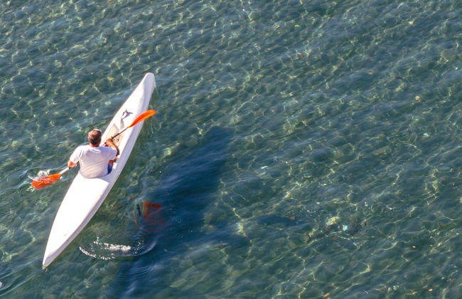 Cinque Terre Kayak Tour - Photo 1