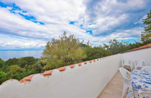 Cotoncello in una posizione panoramica - Goelba - Foto 1