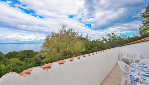 Cotoncello in una posizione panoramica - Goelba - Foto 1