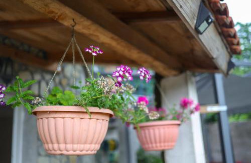 Apartman Vito - Foto 24