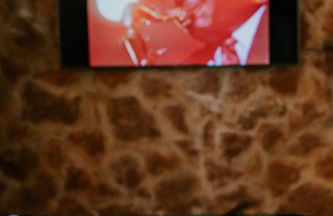 Villa Matilde - Foto 6