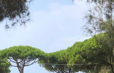 Chira House - Foto 1