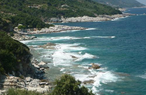 Studio south Pilion - Foto 31