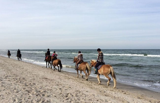 Holiday House Dune Forest b - Photo 14
