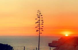 Luisela Mar Algarve - Photo 31